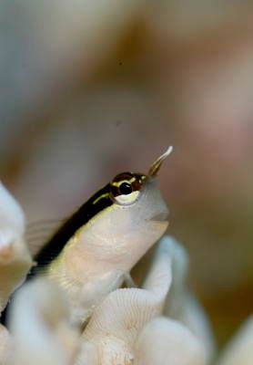 �����@�r���E��